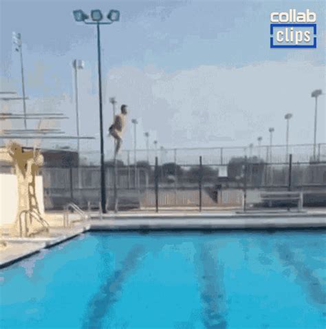 dive dive dive gif